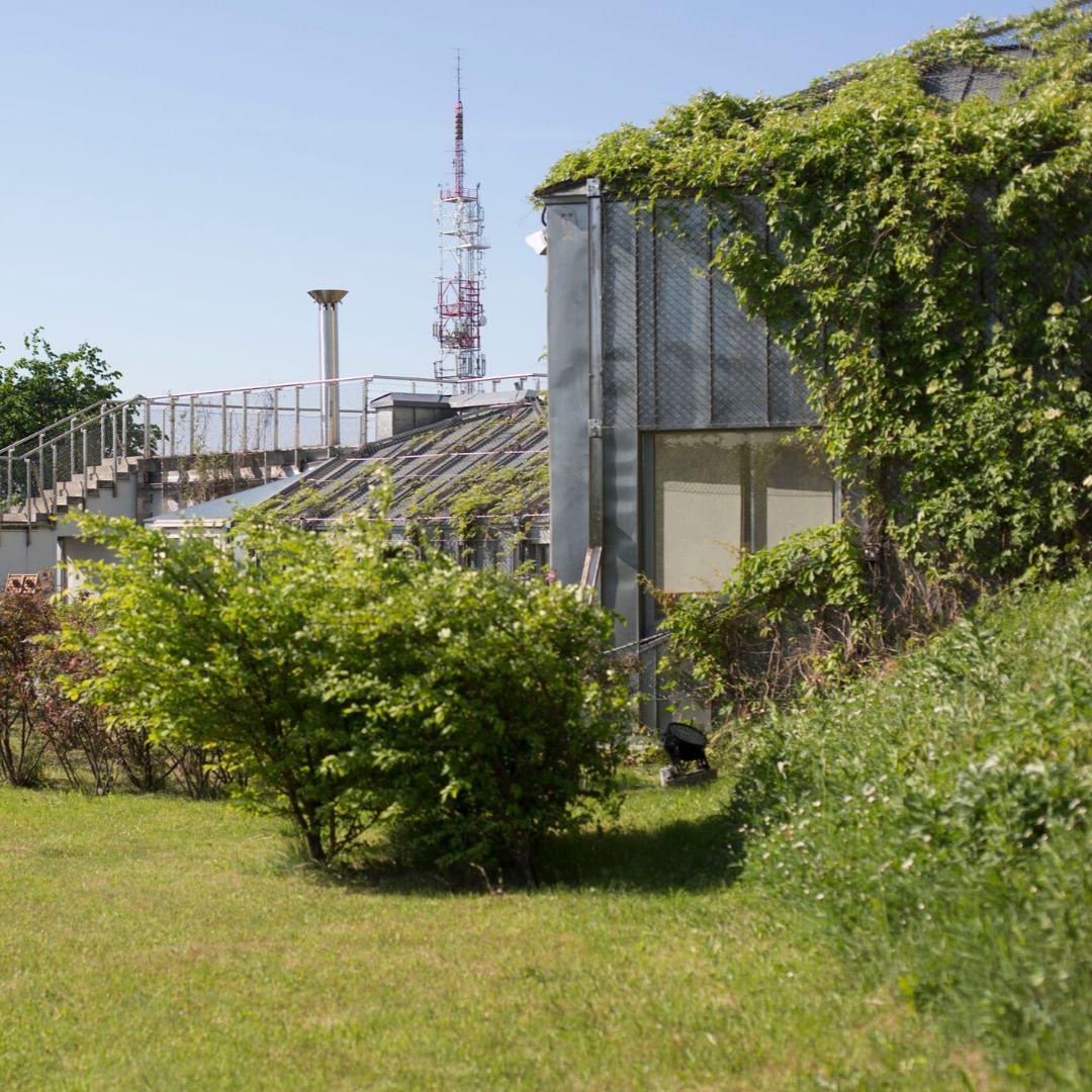 OIFP poszukuje osób na stanowisko GRAFIKA