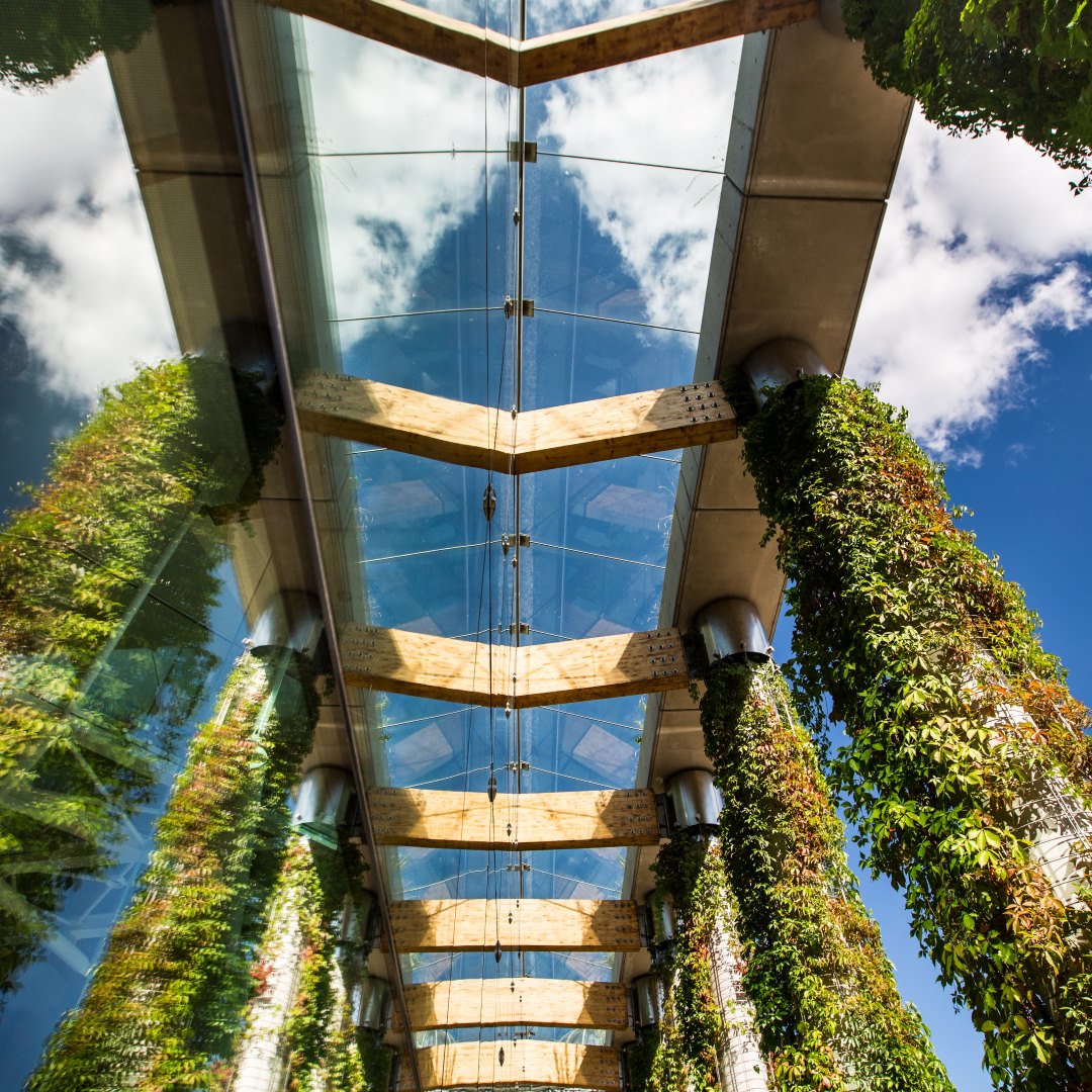 Czerwiec w Operze i Filharmonii Podlaskiej