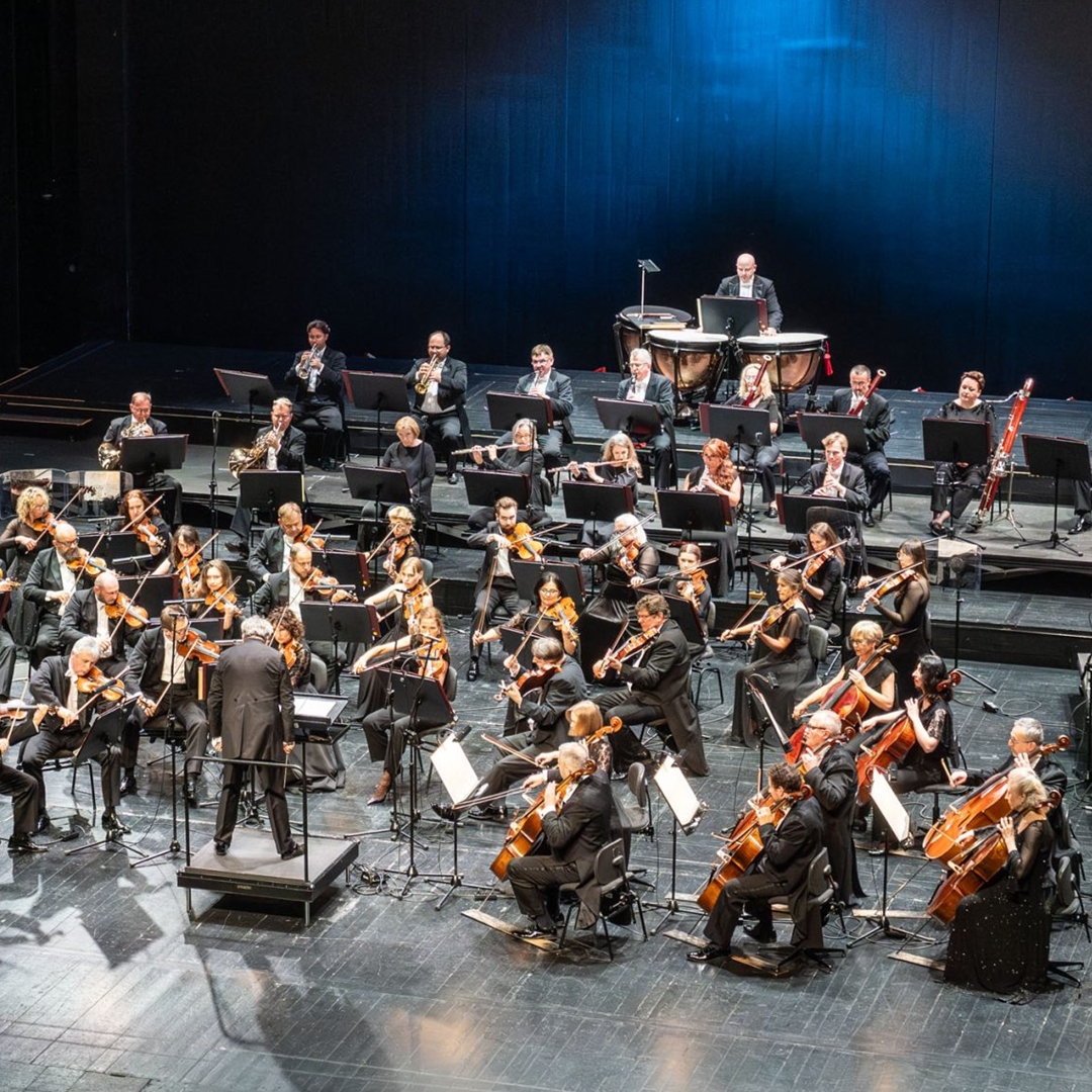 OIFP SZUKA PERKUSISTY