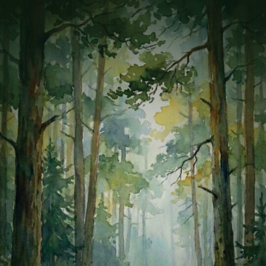 Podlaski Wymiar Sztuki III – wernisaż