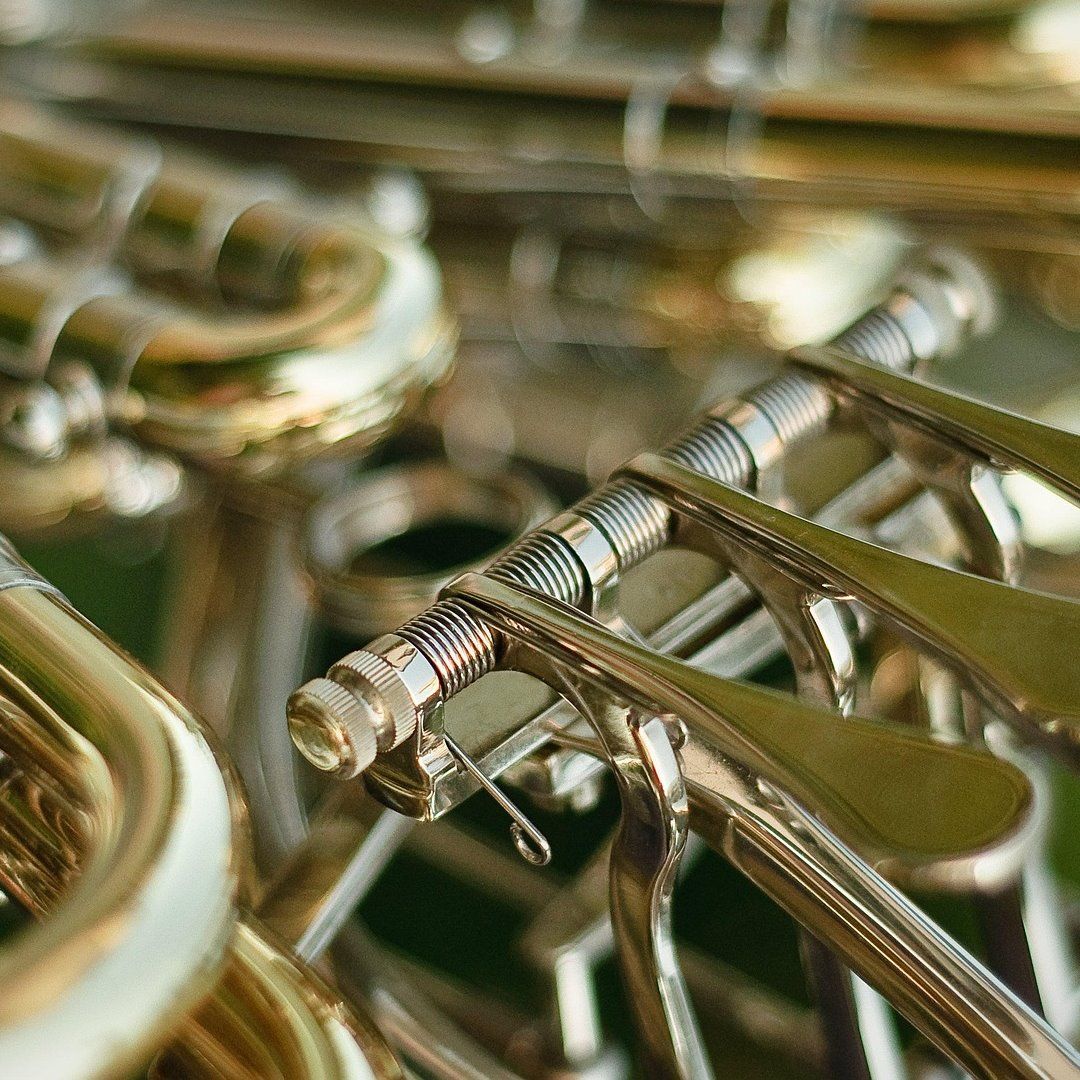 OiFP szuka waltornisty